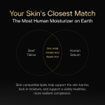 Tallow Moisturizer